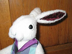 Rabbit21