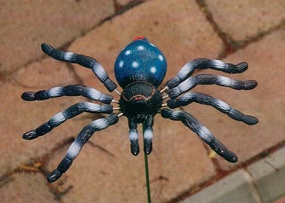 Spider3