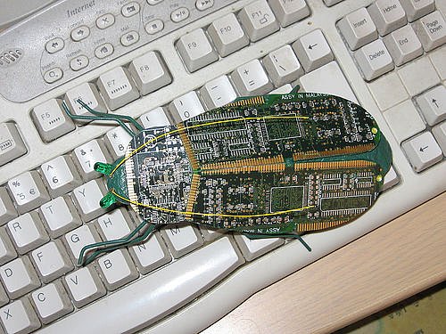 computer-bug.jpg