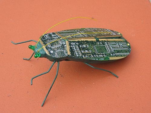 Computer bug