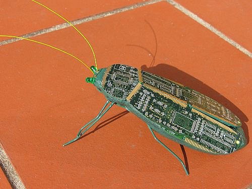 computer-bug-4.jpg