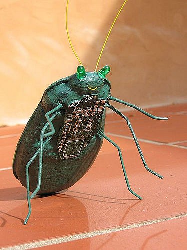 computer-bug-5.jpg