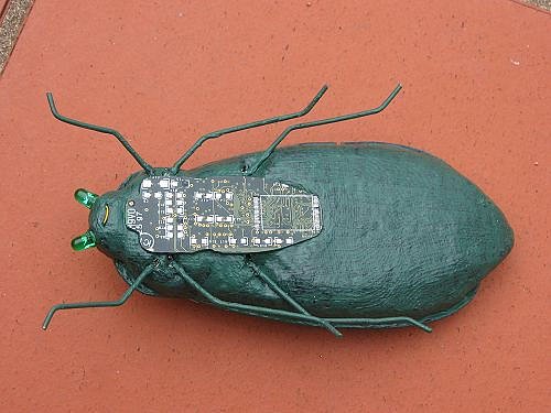 computer-bug-7.jpg