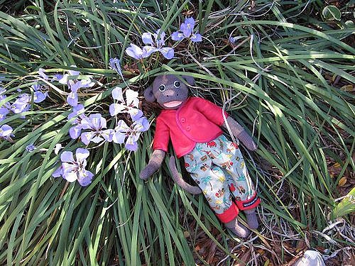 sock-monkey.jpg