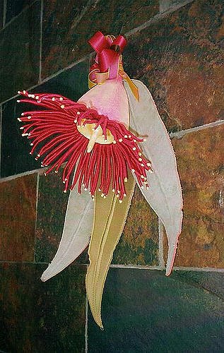 red-flowering-gum.jpg