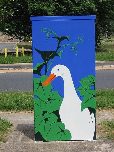 the-suburban-duck.jpg