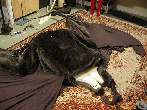 fruibat-body-and-wings.jpg