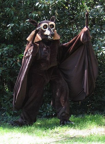 fruit-batman.jpg