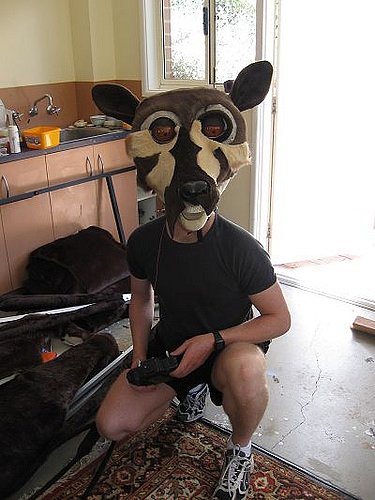 fruitbat-head-3.jpg