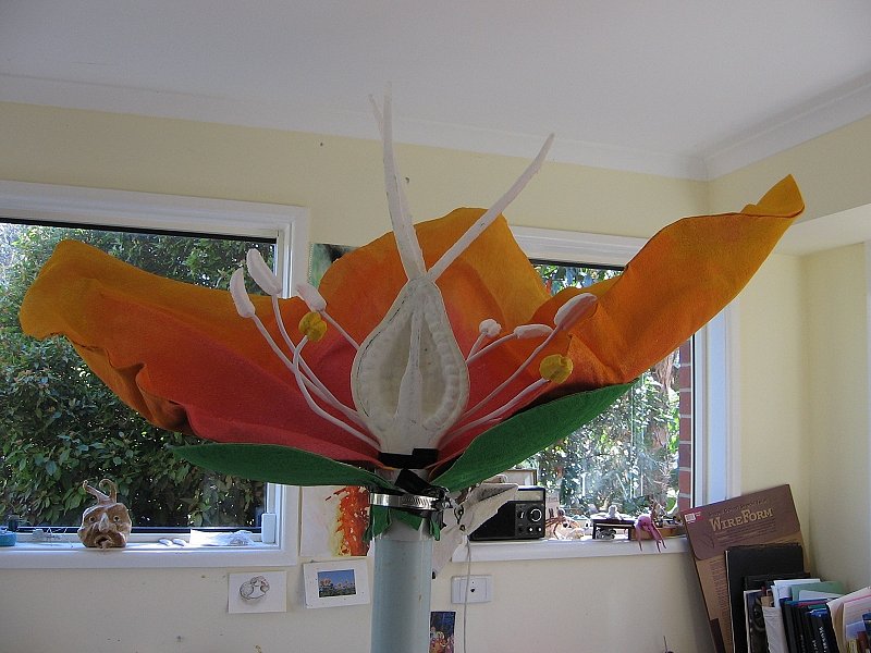 cross-section-flower-2.jpg