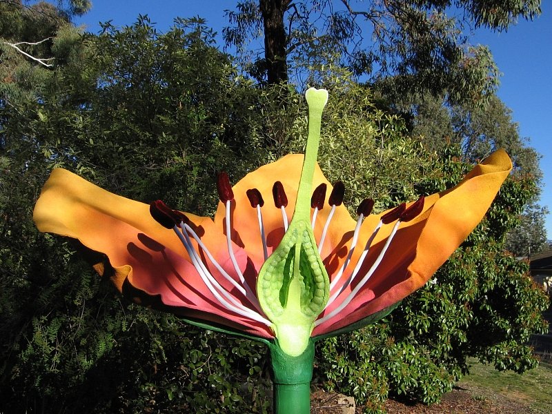 cross-section-flower-7.jpg