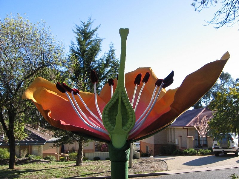 cross-section-flower-8.jpg