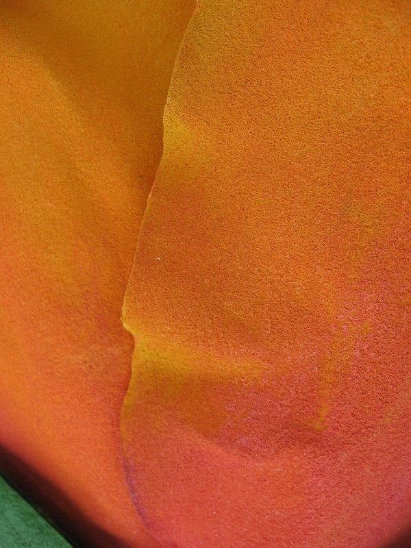 cross-section-flower-13.jpg