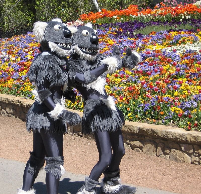 Performing at Floriade