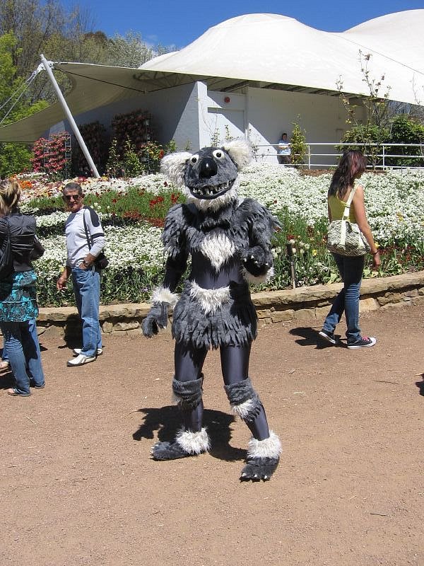 Performing at Floriade