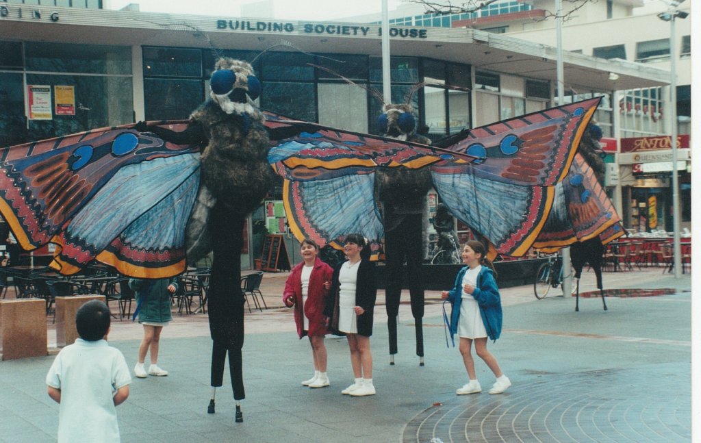 Bogong moths, 2000