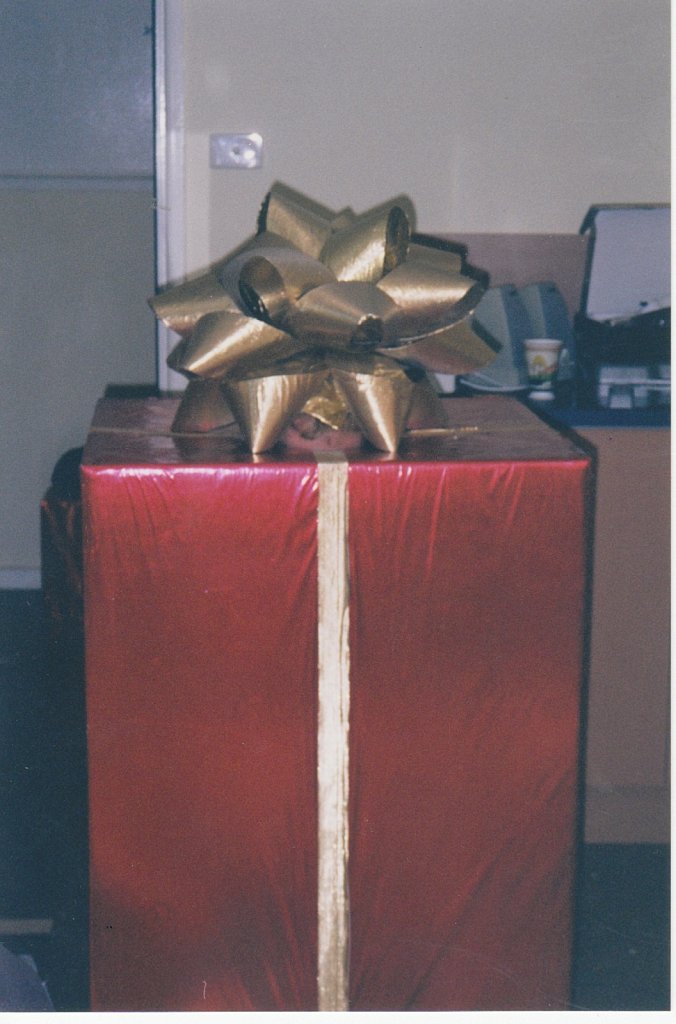 Christmas bow, 2000