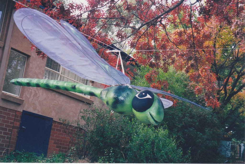 Dragonflies, 2001