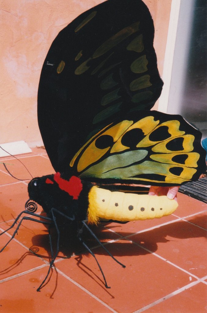 Insects , 2001