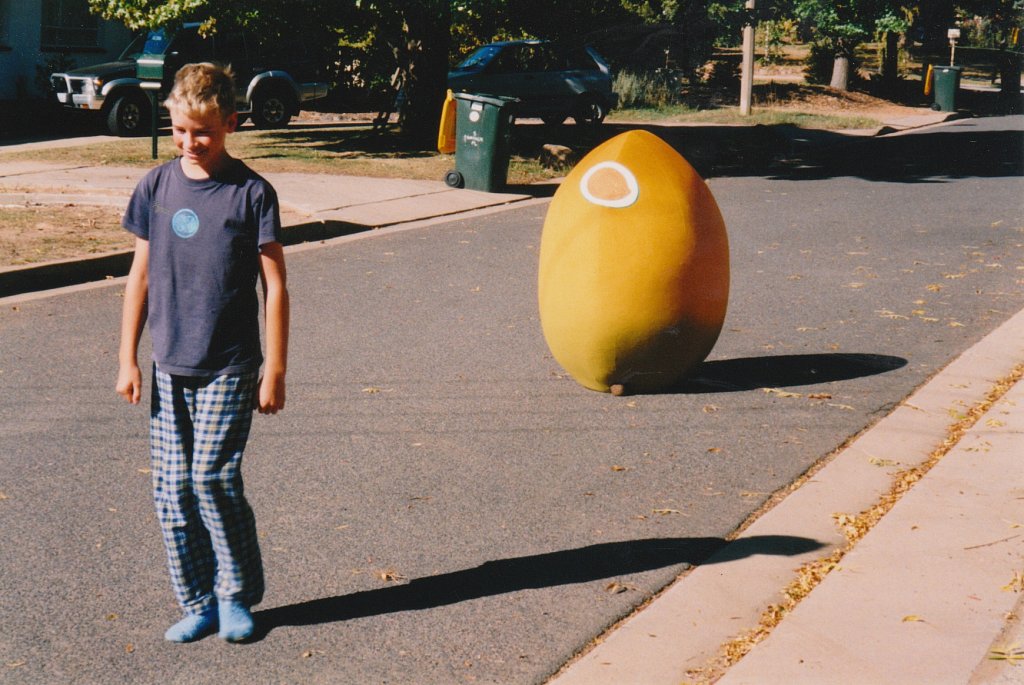 Giant mango